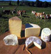 plateau de fromage aoc auvergne