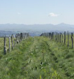 vue du czallier